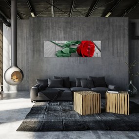 Obraz - Czerwona róża z zieloną łodygą (170x50 cm)