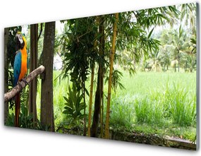 Panel Szklany Egzotyczna Papuga w Dżungli