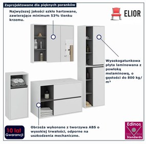 Nowoczesny zestaw mebli do łazienki biały+grafit  F0-W59