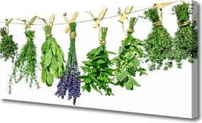 Obraz canvas na ścianę Płatki Ziół i Kwiatów