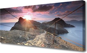 Obraz canvas Kolorowe Aksamitne Bratki