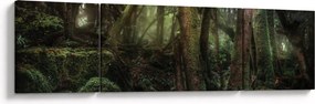 Obraz - Tajemniczy las (170x50 cm)