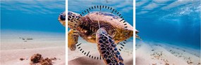 Obraz żółwia w oceanie (z zegarem) (90x30 cm)