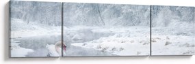 Obraz łabędzi (170x50 cm)