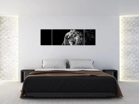 Obraz - Lew, czarno-biały (170x50 cm)