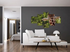 Obraz żyrafy od tyłu (125x70 cm)