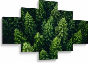 Obraz - Las (125x70 cm)
