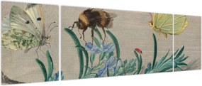 Obraz - Jan van Kessel the Elder, Insects and a Sprig of Rosemary, reprodukcje (170x50 cm)