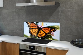 Panel nad Blat Kuchenny Portret Kolorowego Motyla