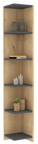 Biblioteczka Porto Anthracite and Sapphire