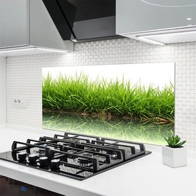 Szkło do Kuchni na Ścianę Świeżość Trawy Nad Wodą