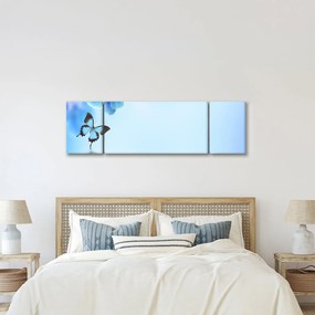 Obraz - Motyl na kwiatach orchidei, niebieski (170x50 cm)