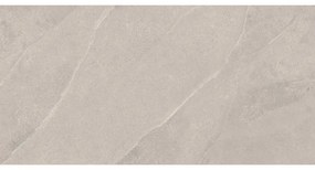 Mexen Aryan Silver gres szkliwiony rekt. G1, płytka podłogowo-ścienna 120 x 60 cm, mat - TL310-120-060-05