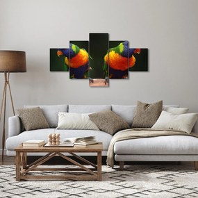 Obraz papug (125x70 cm)