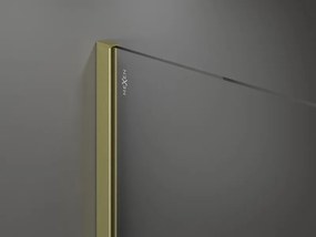 Mexen Kioto ścianka prysznicowa Walk-in 100 x 200 cm, transparent 8 mm, złota szczotkowana - 800-100-101-55-00