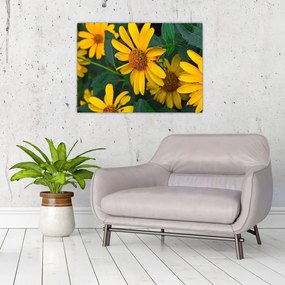 Obraz na szkle - żółte kwiaty (70x50 cm)