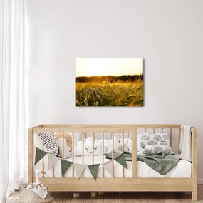 Obraz zroszonej trawy (70x50 cm)