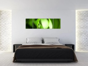 Obraz - Źdźbło trawy (170x50 cm)
