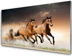Szkło Ozdobne do Kuchni Dzikie Konie W Galopie