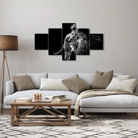 Obraz - Lew, czarno-biały (125x70 cm)