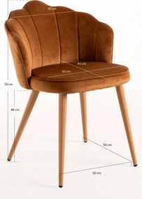 Aksamitne krzeso Blume