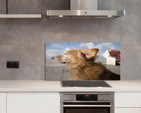 Szklany Panel Pies na Nadmorskiej Plaży