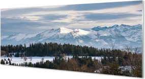 Panel szklany do Kuchni Śnieżna Kraina Gór