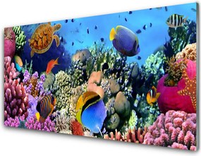 Panel Kuchenny Bogactwo Oceanicznej Rafy