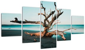 Obraz -  Wyłowiono na plaży (125x70 cm)
