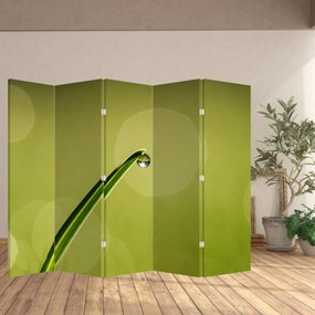 Parawan - Kropla wody na trawie (210x170 cm)
