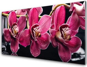 Dekor Szklany do Kuchni Pędy Storczyka w Rozkwicie