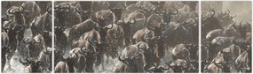 Obraz - Stado antylop gnu (170x50 cm)