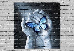 Fototapeta - Motyl na ścianie (196x136 cm)