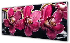 Panel Szklany Kwiaty Orchidea Pędy Natura