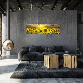 Obraz - Słoneczniki o zachodzie słońca (170x50 cm)