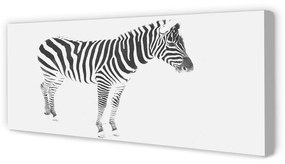 Obraz na płótnie Malowana zebra