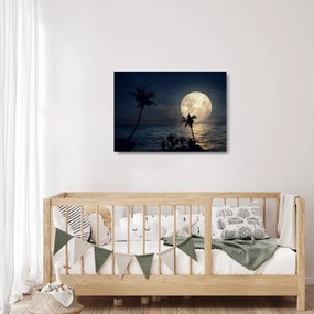 Obraz na szkle - Plaża pod pełnią księżyca (70x50 cm)