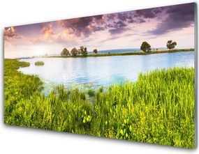 Panel Szklany Szuwary Nad Cichym Jeziorem