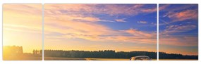Obraz żółtego samochodu na polu (170x50 cm)
