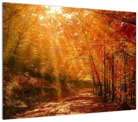 Obraz jesiennego lasu (70x50 cm)