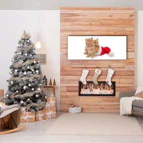 Obraz Canvas Koty Święta Święty mikołaj