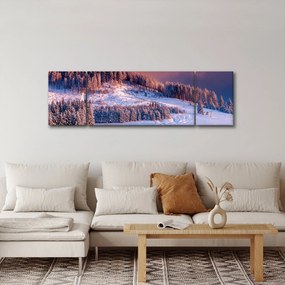Obraz zimowego krajobrazu (170x50 cm)