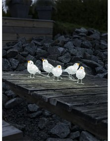 Bożonarodzeniowe dekoracje zewnętrzne Ptaszki, 40 LED, 5 szt.