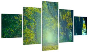 Obraz drogi wysadzanej drzewami (125x70 cm)