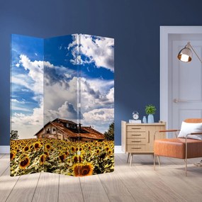Parawan - Pole słoneczników (126x170 cm)