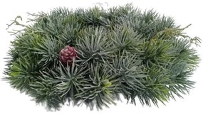 Świąteczny wieniec z gałązek sosny pokryty szronemi trawą, średnica 30 cm
