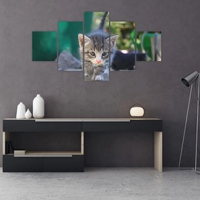 Obraz kotków (125x70 cm)