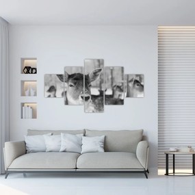 Obraz - Jelonki, czarno - biały (125x70 cm)