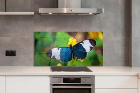 Panel Kuchenny Szklany Egzotyczny Motyl na Płatkach