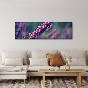 Obraz fioletowego kwiatu (170x50 cm)